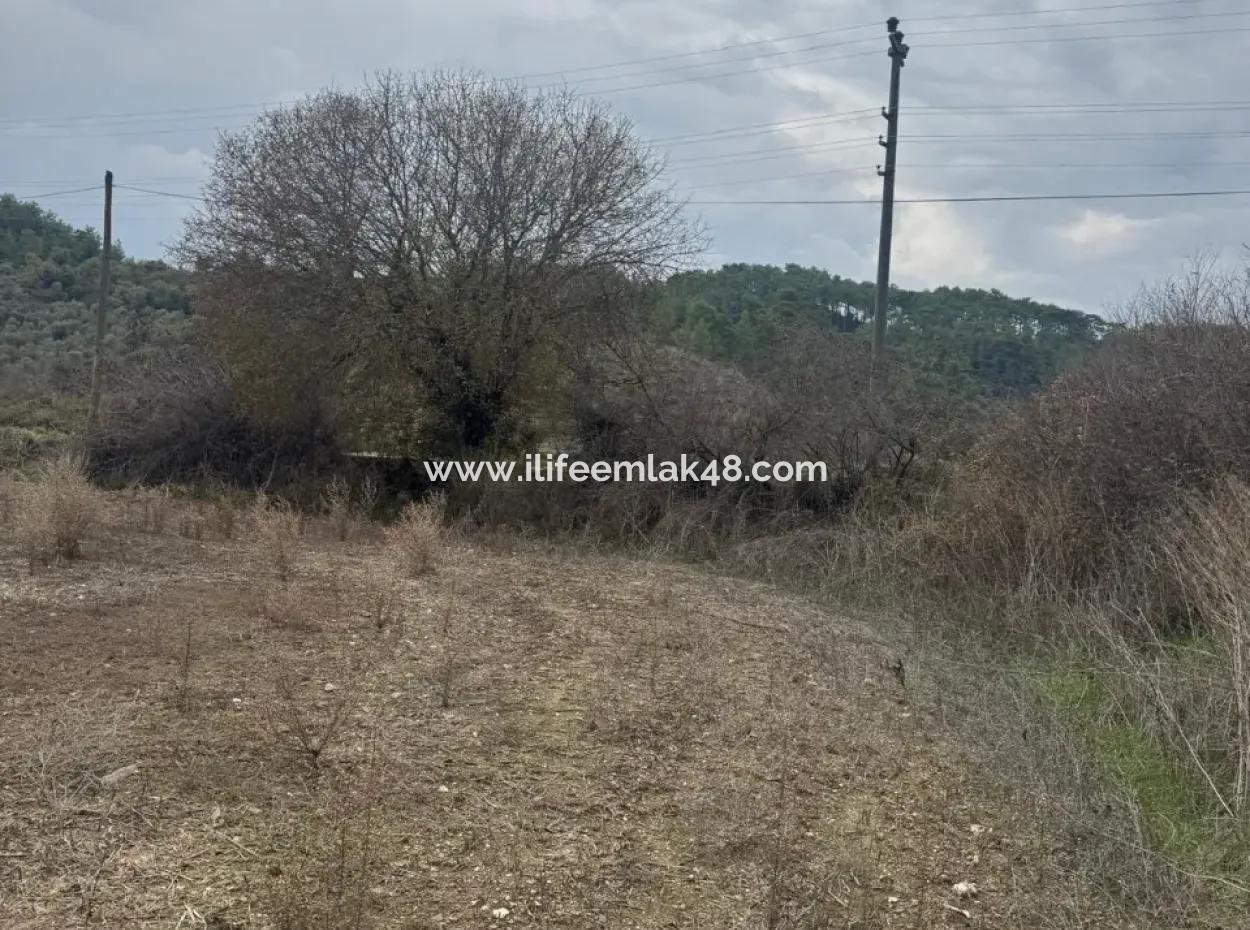 Es Gibt 600 M2 Feld Zum Verkauf In Esentepe Mit Zoneneinteilung Im Dorf