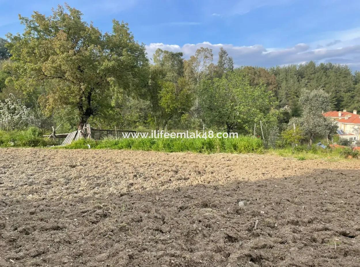 Es Gibt 3 Häuser In 1865 M2 Grundstück Zum Verkauf In Esentepe