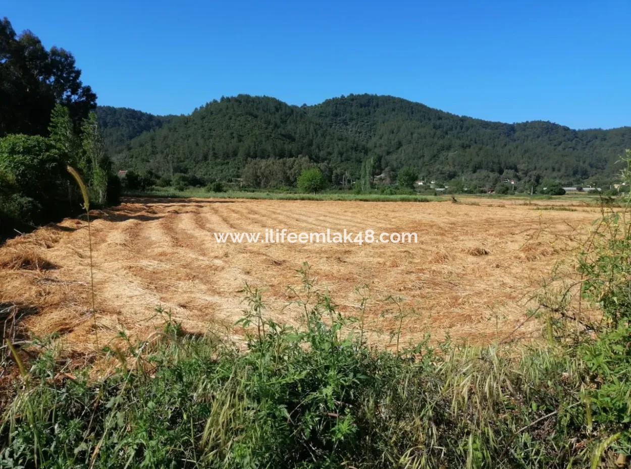 7116 M2 Field Investment For Sale In Portakallik