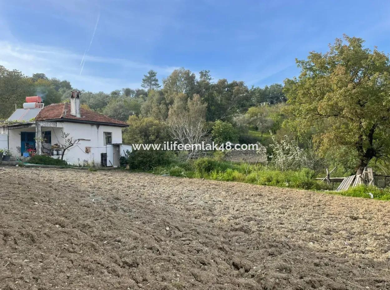 There Are 3 Houses In 1865 M2 Land For Sale In Esentepe