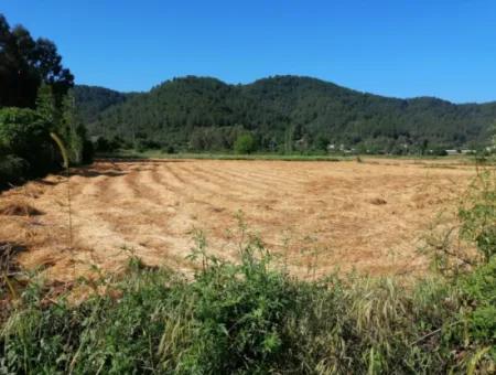 7116 M2 Field Investment For Sale In Portakallik