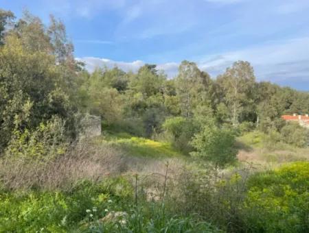 There Are 3 Houses In 1865 M2 Land For Sale In Esentepe