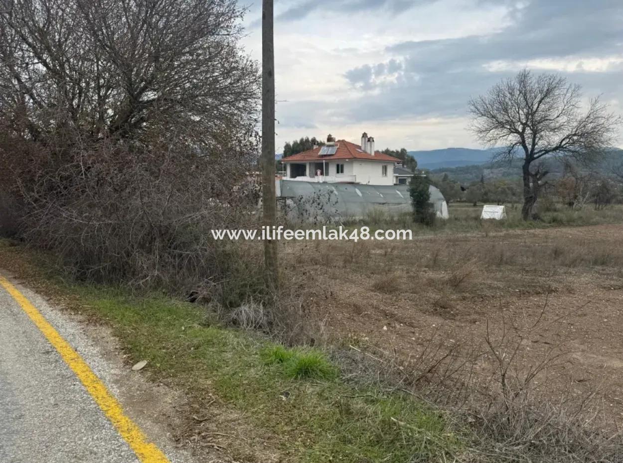 Esentepe'de Satılık 600 M2 Tarla Köy İçi İmarlı Pazarlık Vardır